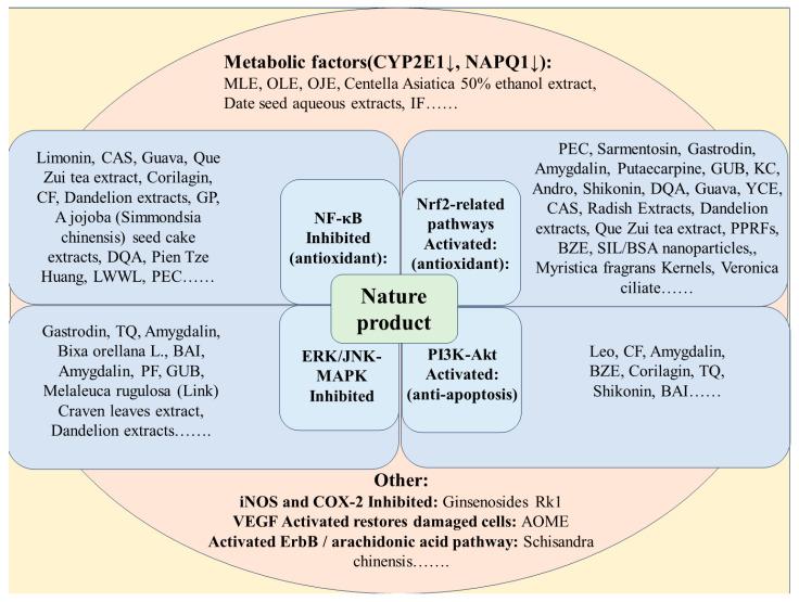https://cdn.ncbi.nlm.nih.gov/pmc/blobs/6d36/10708418/4453c48332af/molecules-28-07901-g005.jpg