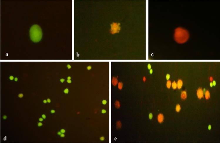 https://cdn.ncbi.nlm.nih.gov/pmc/blobs/6d37/10542352/ef307d03f031/41598_2023_43499_Fig7_HTML.jpg