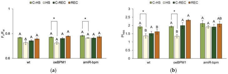 https://cdn.ncbi.nlm.nih.gov/pmc/blobs/6d3b/12252247/339dd529335a/plants-14-01969-g001.jpg