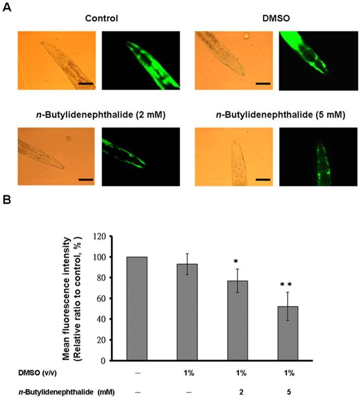 https://cdn.ncbi.nlm.nih.gov/pmc/blobs/6d3b/3885701/ea3e951e417b/pone.0085305.g004.jpg