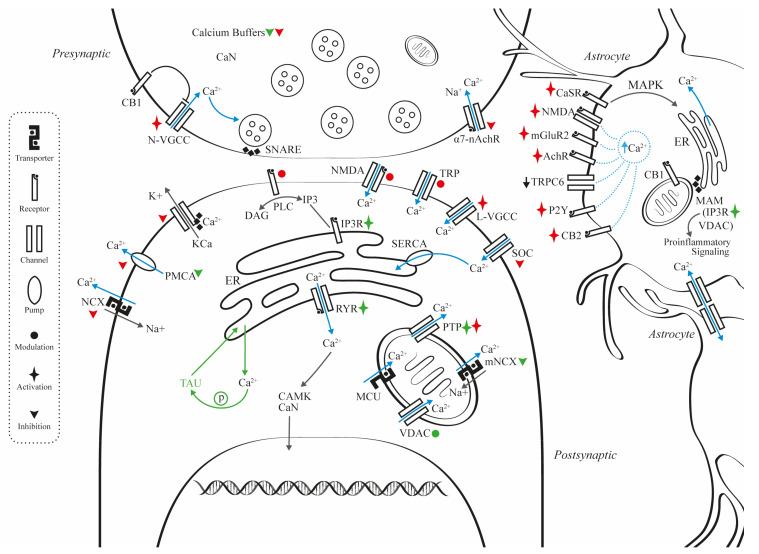 https://cdn.ncbi.nlm.nih.gov/pmc/blobs/6d3c/10218981/96b366999f0b/ijms-24-09067-g001.jpg