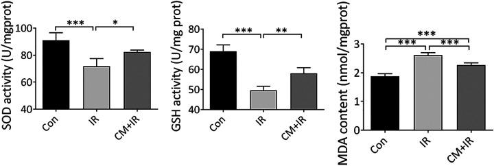 https://cdn.ncbi.nlm.nih.gov/pmc/blobs/6d3f/8020251/7f55fc626889/10.1177_15593258211003798-fig4.jpg