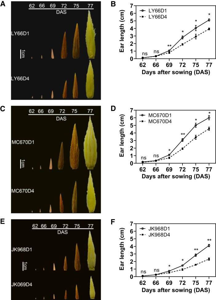 https://cdn.ncbi.nlm.nih.gov/pmc/blobs/6d41/11288763/b67e9f09ed50/kiae204f6.jpg