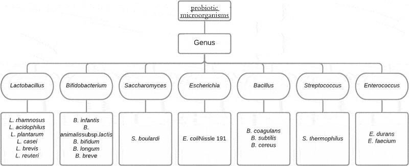 https://cdn.ncbi.nlm.nih.gov/pmc/blobs/6d41/8810194/7798af1a538c/KBIE_A_2005992_F0001_B.jpg