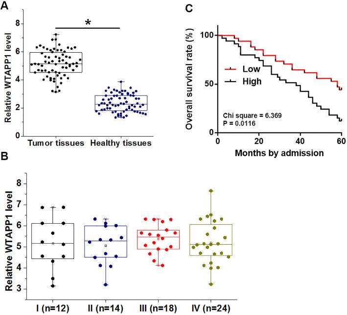 https://cdn.ncbi.nlm.nih.gov/pmc/blobs/6d42/7260856/ac645077b11e/12890_2020_1180_Fig1_HTML.jpg