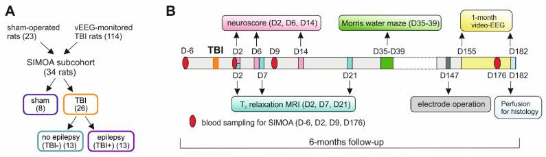 https://cdn.ncbi.nlm.nih.gov/pmc/blobs/6d42/9736117/83afe32f89e9/ijms-23-15208-g007.jpg