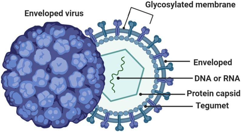 https://cdn.ncbi.nlm.nih.gov/pmc/blobs/6d43/7773313/e8ebb740d89e/gr2_lrg.jpg
