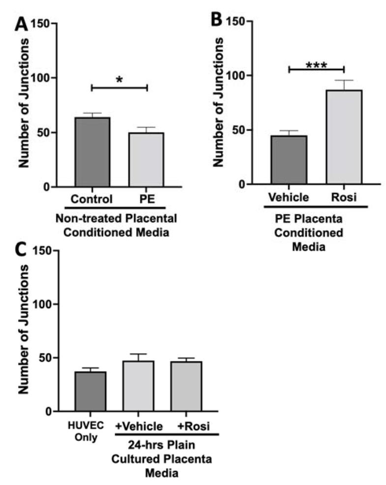 https://cdn.ncbi.nlm.nih.gov/pmc/blobs/6d45/9659243/7255aca47054/cells-11-03514-g011.jpg
