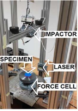 https://cdn.ncbi.nlm.nih.gov/pmc/blobs/6d46/11571458/9105ccf58305/JHK-94-192131-g001.jpg