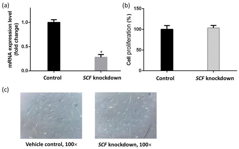 https://cdn.ncbi.nlm.nih.gov/pmc/blobs/6d46/5983634/5947fbce13df/ijms-19-01475-g001.jpg
