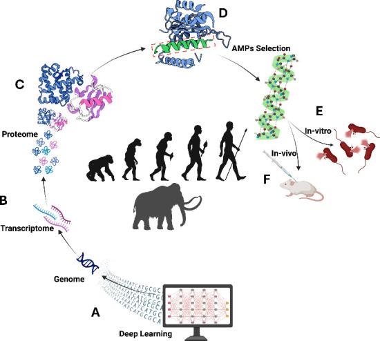 https://cdn.ncbi.nlm.nih.gov/pmc/blobs/6d48/12138651/d81b3de121dc/ao5c01011_0007.jpg