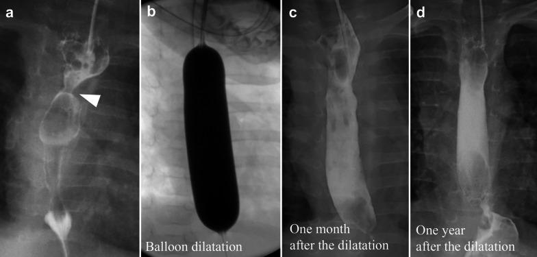https://cdn.ncbi.nlm.nih.gov/pmc/blobs/6d4a/10516835/d3a29361e4cd/40792_2023_1754_Fig3_HTML.jpg