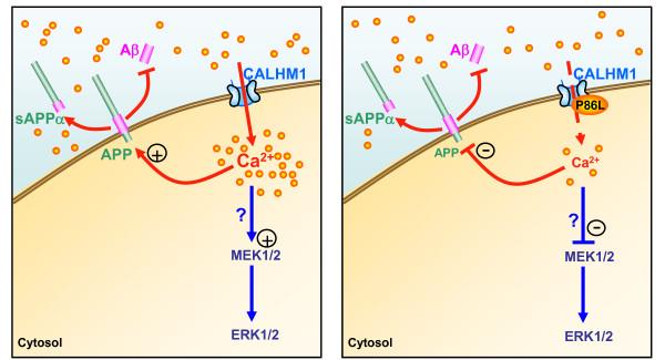 https://cdn.ncbi.nlm.nih.gov/pmc/blobs/6d4a/2689218/a7a176bd4f4a/1750-1326-4-20-3.jpg