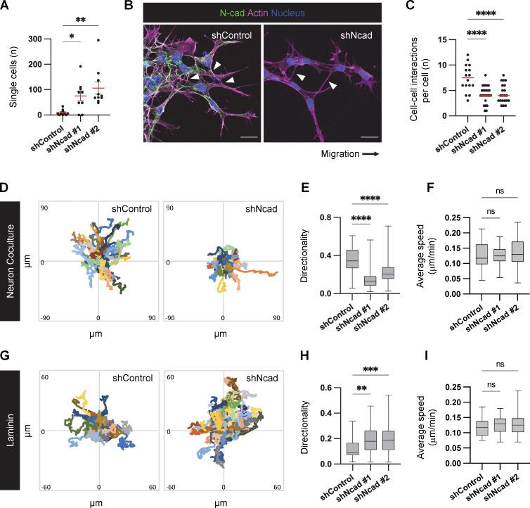 https://cdn.ncbi.nlm.nih.gov/pmc/blobs/6d4c/10937189/8e95a488cf17/JCB_202401057_Fig2.jpg