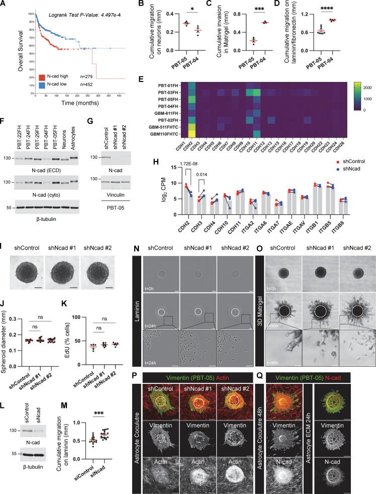 https://cdn.ncbi.nlm.nih.gov/pmc/blobs/6d4c/10937189/a96d965bbf50/JCB_202401057_FigS1.jpg