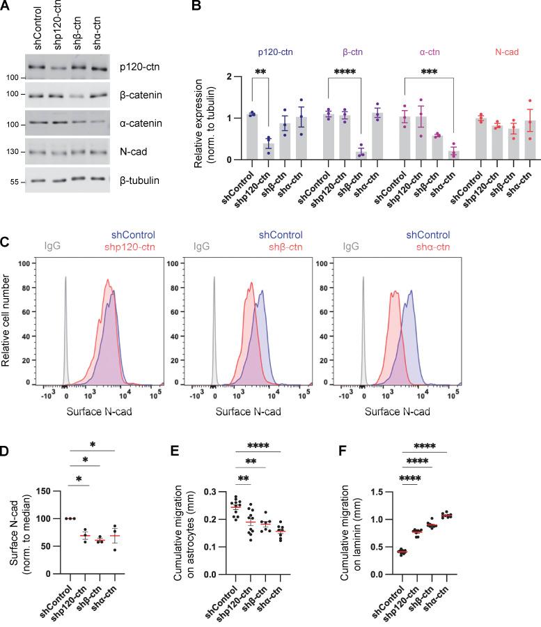 https://cdn.ncbi.nlm.nih.gov/pmc/blobs/6d4c/10937189/e170b1dbe91f/JCB_202401057_Fig4.jpg