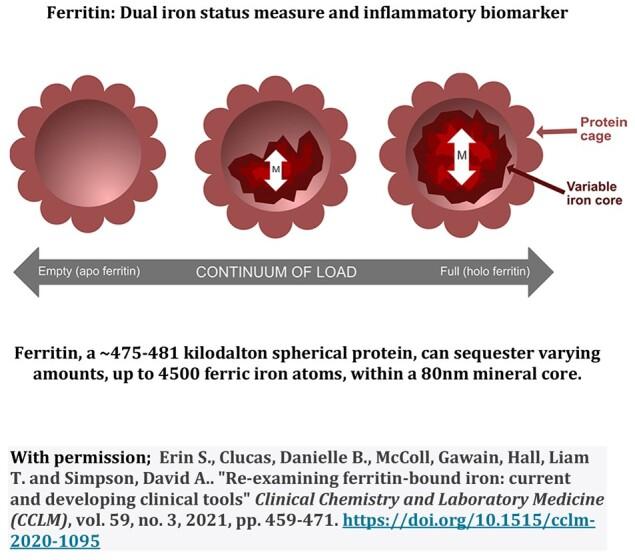 https://cdn.ncbi.nlm.nih.gov/pmc/blobs/6d4e/8195161/b703b970368c/mfab030fig1g.jpg