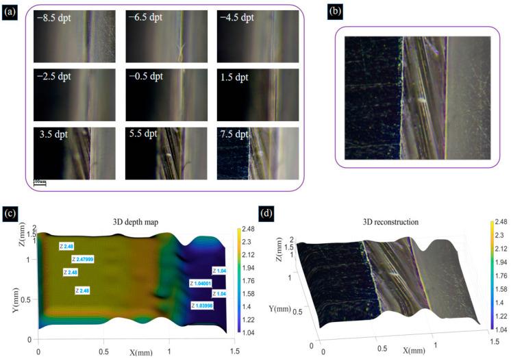https://cdn.ncbi.nlm.nih.gov/pmc/blobs/6d50/11154282/260c3af28628/biomimetics-09-00049-g012.jpg