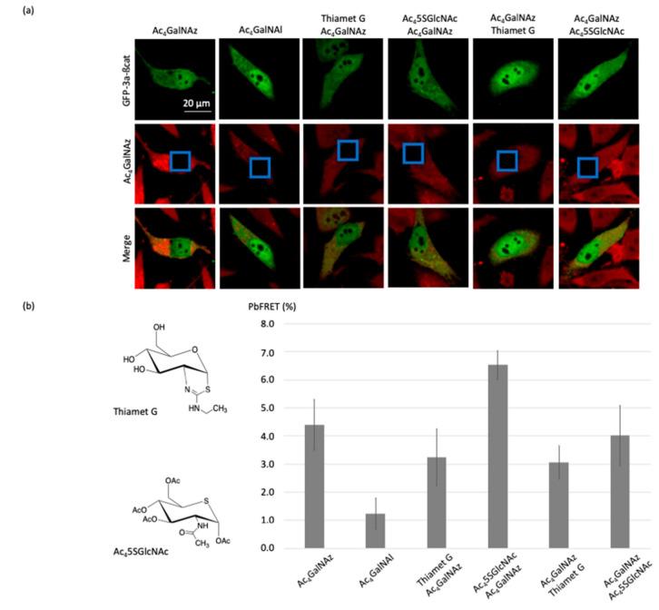 https://cdn.ncbi.nlm.nih.gov/pmc/blobs/6d51/7583010/591d3f411f00/molecules-25-04501-g006.jpg
