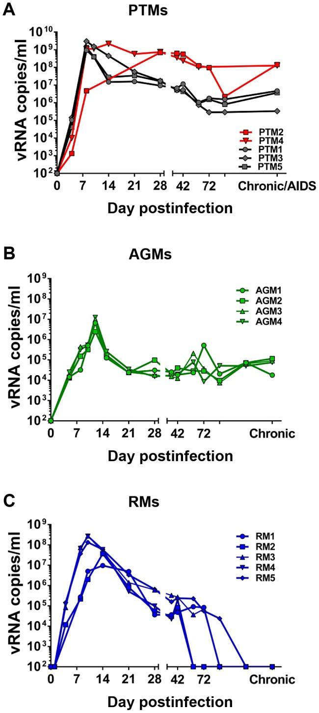 https://cdn.ncbi.nlm.nih.gov/pmc/blobs/6d52/3789723/0e97731a6bee/ppat.1003600.g001.jpg