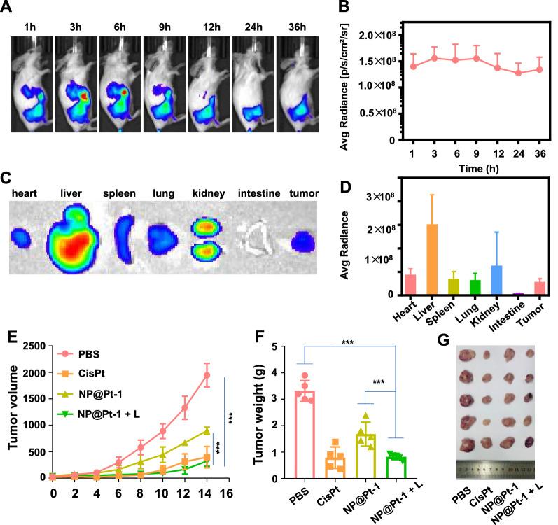 https://cdn.ncbi.nlm.nih.gov/pmc/blobs/6d53/9287983/0f140552aaf9/12951_2022_1531_Fig4_HTML.jpg