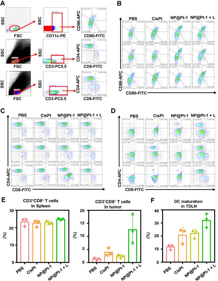 https://cdn.ncbi.nlm.nih.gov/pmc/blobs/6d53/9287983/3a5c3f392e6f/12951_2022_1531_Fig5_HTML.jpg
