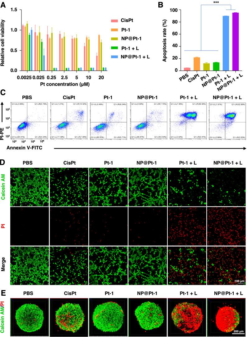 https://cdn.ncbi.nlm.nih.gov/pmc/blobs/6d53/9287983/4b2f0712e7a1/12951_2022_1531_Fig2_HTML.jpg