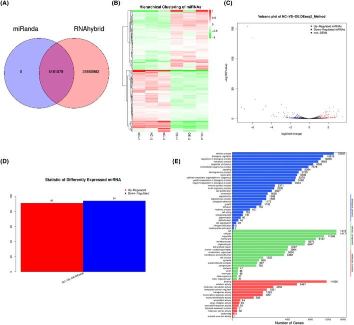 https://cdn.ncbi.nlm.nih.gov/pmc/blobs/6d54/11063722/546516ea66cd/JCMM-28-e18351-g005.jpg