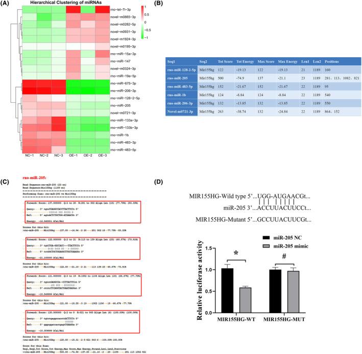 https://cdn.ncbi.nlm.nih.gov/pmc/blobs/6d54/11063722/96c4b2b92c85/JCMM-28-e18351-g001.jpg