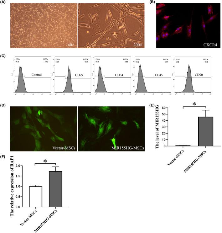 https://cdn.ncbi.nlm.nih.gov/pmc/blobs/6d54/11063722/b8a416fe3b2e/JCMM-28-e18351-g006.jpg