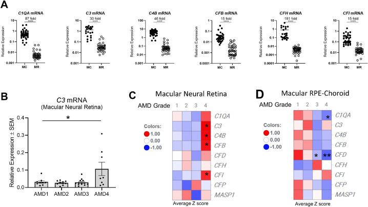 https://cdn.ncbi.nlm.nih.gov/pmc/blobs/6d55/8237111/fa552499d2a2/iovs-62-7-26-f002.jpg