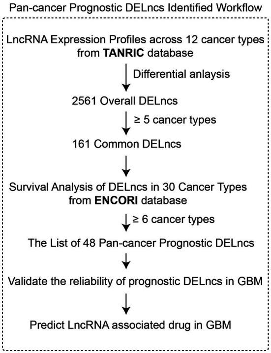 https://cdn.ncbi.nlm.nih.gov/pmc/blobs/6d55/8575119/5d2499bd88bf/fgene-12-723725-g001.jpg