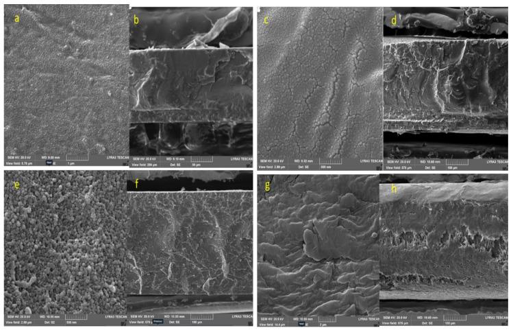 https://cdn.ncbi.nlm.nih.gov/pmc/blobs/6d55/9268272/19389aca5565/nanomaterials-12-02315-g011.jpg