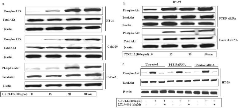https://cdn.ncbi.nlm.nih.gov/pmc/blobs/6d56/6734448/94bed3509e74/12964_2019_432_Fig7_HTML.jpg