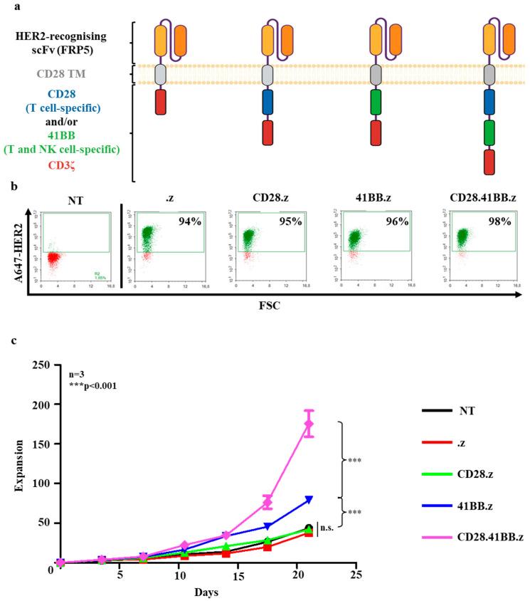 https://cdn.ncbi.nlm.nih.gov/pmc/blobs/6d5a/11898473/b3b8dea6ef2b/cancers-17-00731-g001.jpg