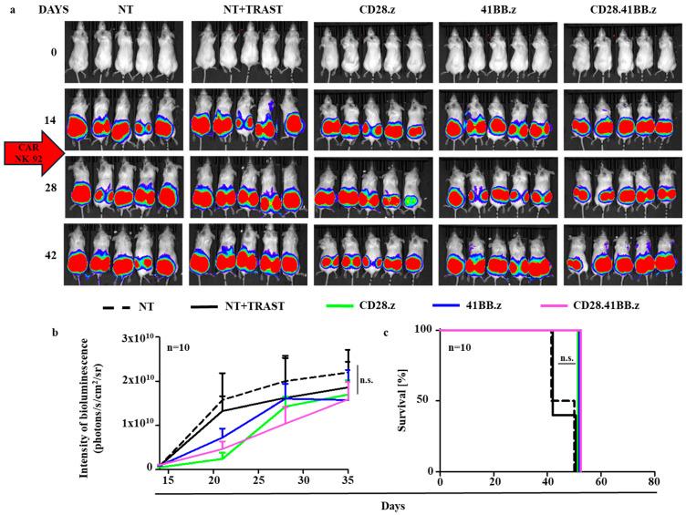 https://cdn.ncbi.nlm.nih.gov/pmc/blobs/6d5a/11898473/ccdcd173cf47/cancers-17-00731-g004.jpg