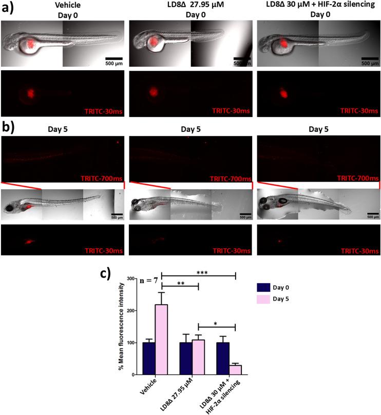 https://cdn.ncbi.nlm.nih.gov/pmc/blobs/6d5a/12146981/989f86fcbdce/d5bm00109a-f9.jpg