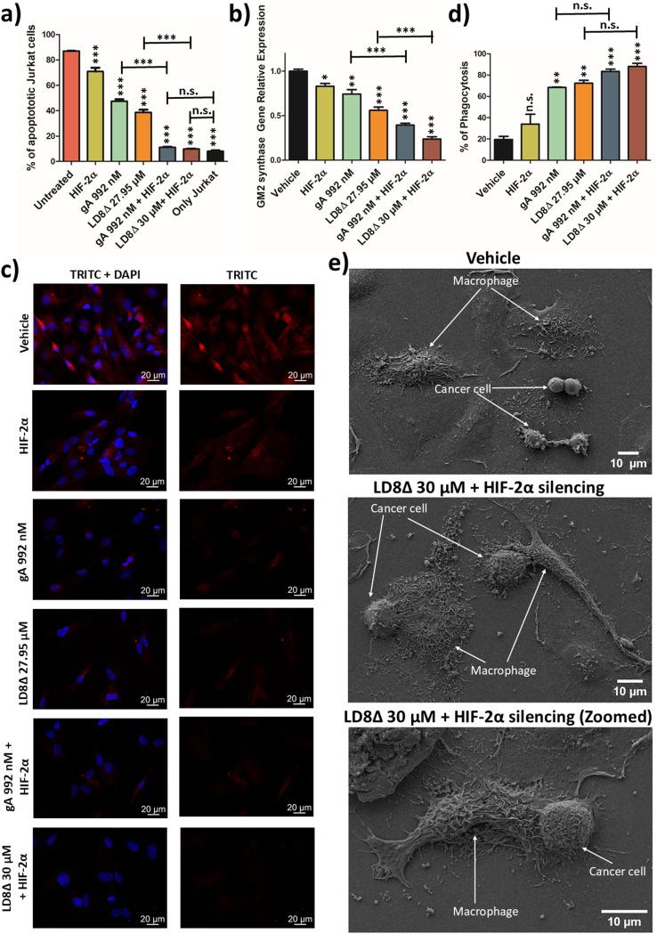 https://cdn.ncbi.nlm.nih.gov/pmc/blobs/6d5a/12146981/ba3abb5f492c/d5bm00109a-f8.jpg