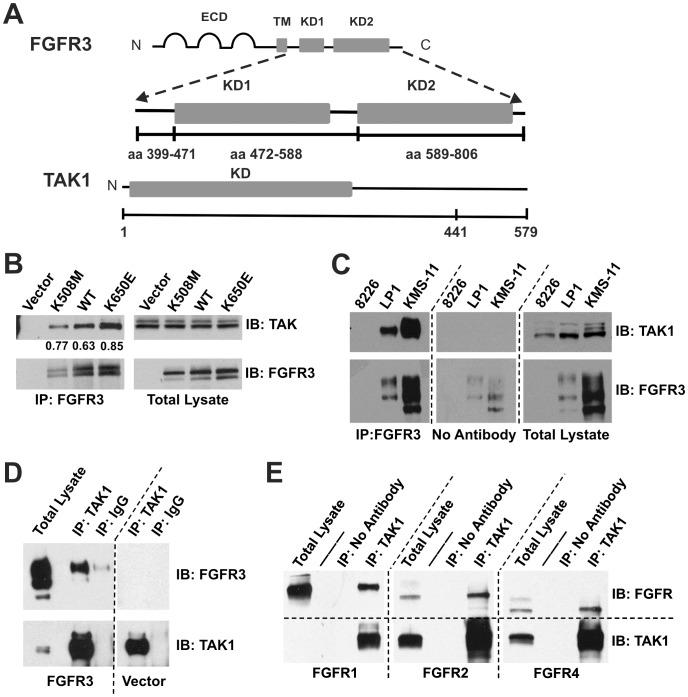 https://cdn.ncbi.nlm.nih.gov/pmc/blobs/6d5a/3900522/41f5a2e84030/pone.0086470.g001.jpg