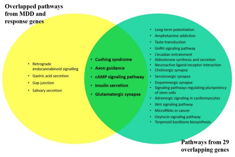 https://cdn.ncbi.nlm.nih.gov/pmc/blobs/6d5a/6514561/21090be1b063/ijms-20-01993-g003.jpg