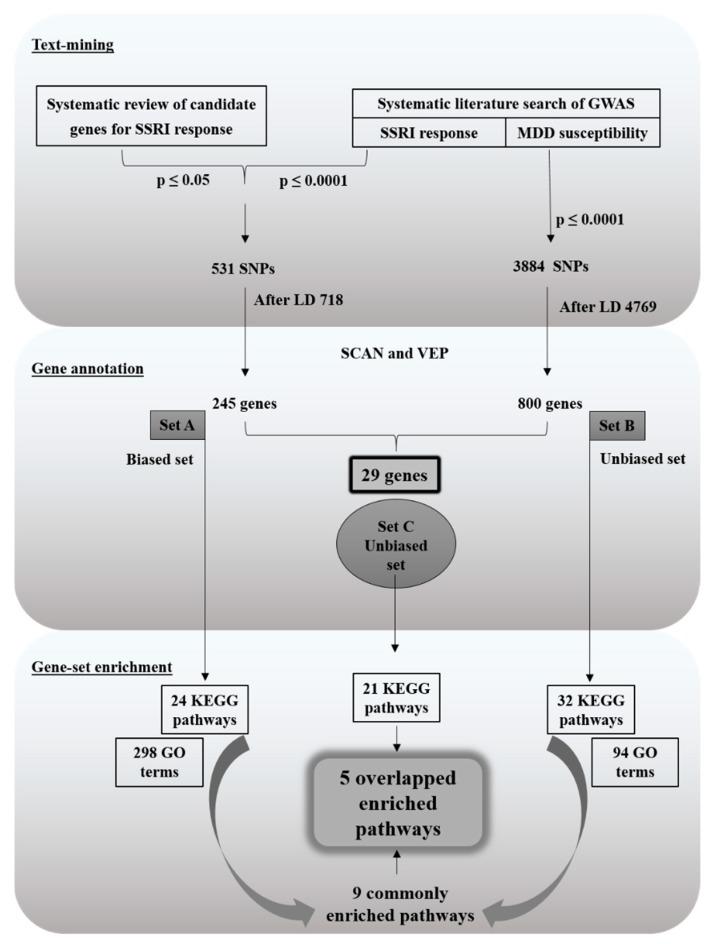 https://cdn.ncbi.nlm.nih.gov/pmc/blobs/6d5a/6514561/8a74c2aea557/ijms-20-01993-g004.jpg