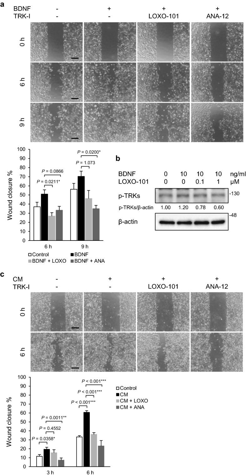 https://cdn.ncbi.nlm.nih.gov/pmc/blobs/6d5a/9584965/ff45e724dd7c/41598_2022_22377_Fig4_HTML.jpg