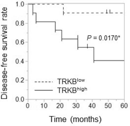 https://cdn.ncbi.nlm.nih.gov/pmc/blobs/6d5a/9584965/ff5e3e75479b/41598_2022_22377_Fig6_HTML.jpg