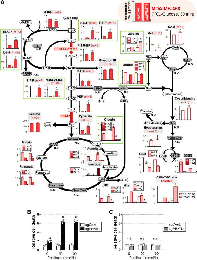 https://cdn.ncbi.nlm.nih.gov/pmc/blobs/6d5e/10982647/52ba70730623/1065fig3.jpg