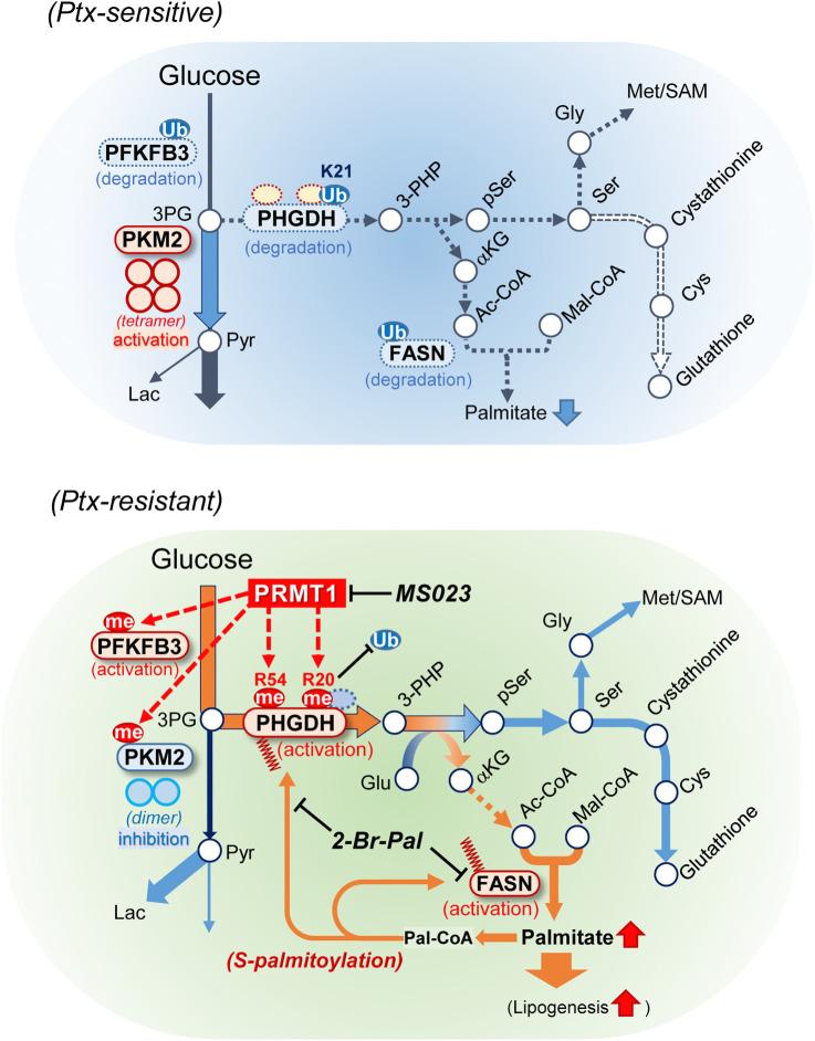 https://cdn.ncbi.nlm.nih.gov/pmc/blobs/6d5e/10982647/c2e2937aaa5f/1065fig8.jpg