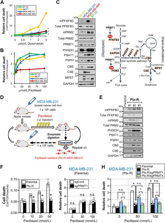 https://cdn.ncbi.nlm.nih.gov/pmc/blobs/6d5e/10982647/d9c5bcc36618/1065fig1.jpg