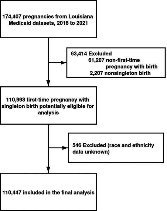 https://cdn.ncbi.nlm.nih.gov/pmc/blobs/6d5f/12177329/f318e4130e27/whr.2025.0019_figure1.jpg