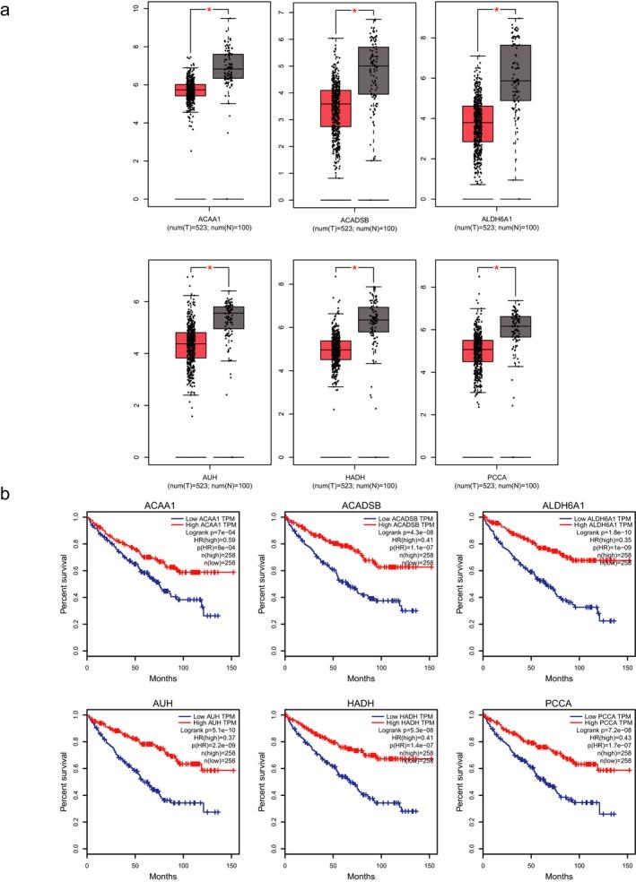 https://cdn.ncbi.nlm.nih.gov/pmc/blobs/6d5f/6503072/3ff8313e0d0b/MGG3-7-e607-g007.jpg