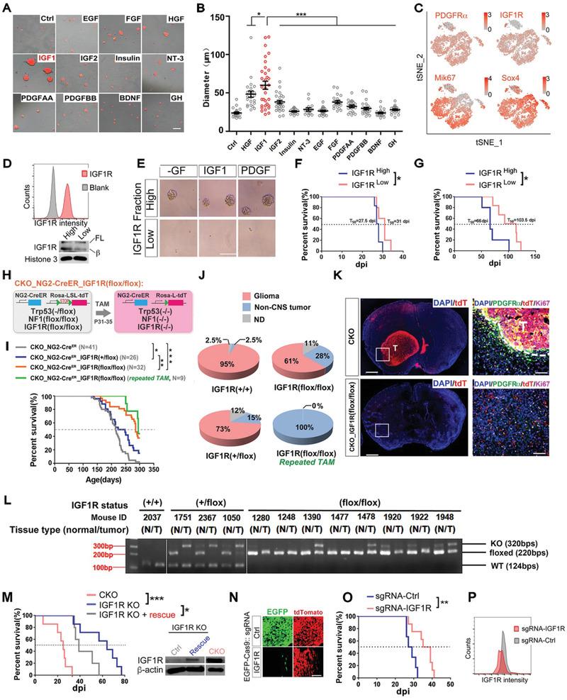 https://cdn.ncbi.nlm.nih.gov/pmc/blobs/6d62/7610337/c0b7a23106e9/ADVS-7-2001724-g002.jpg