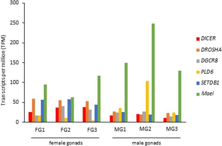 https://cdn.ncbi.nlm.nih.gov/pmc/blobs/6d63/8292531/18191e441ab1/41598_2021_94193_Fig3_HTML.jpg